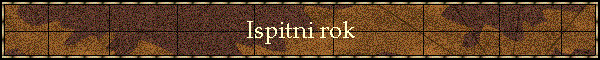 Ispitni rok