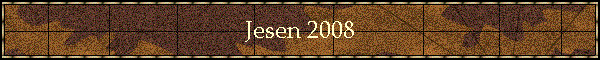 Jesen 2008