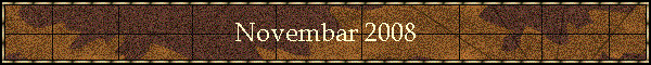 Novembar 2008
