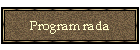 Program rada