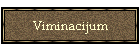Viminacijum