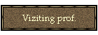 Viziting prof.